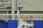Volleyball vs Emerson  Wheaton College Women's Volleyball vs Emerson College. - Photo by Keith Nordstrom : Wheaton, Volleyball, VB2019